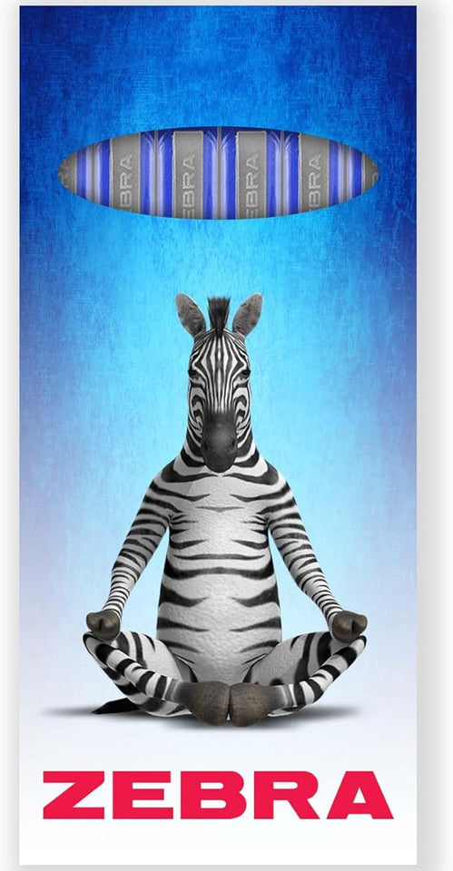Zebra Ballpoint Pen Set – Medium Tip