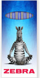 Zebra Ballpoint Pen Set – Medium Tip